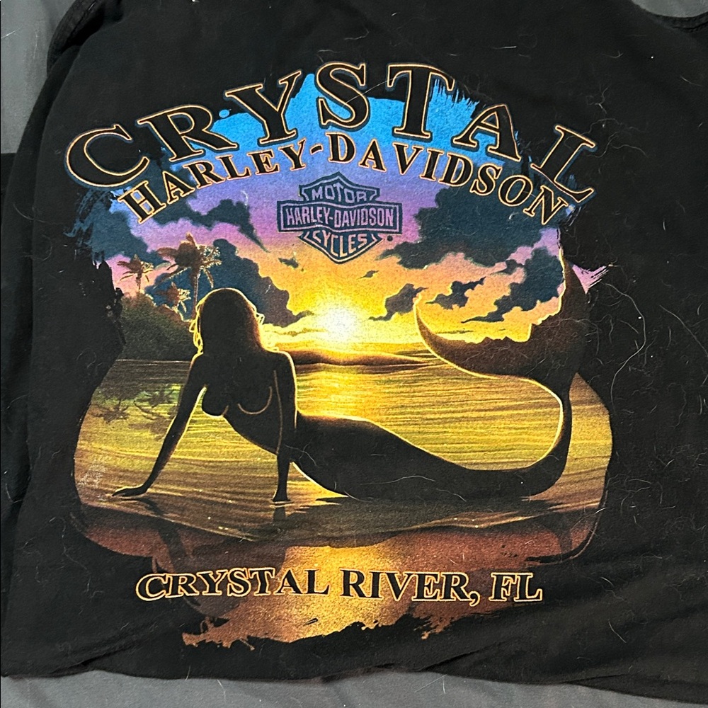 Harley Davidson shirt